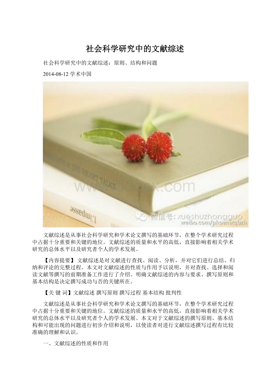 社会科学研究中的文献综述.docx