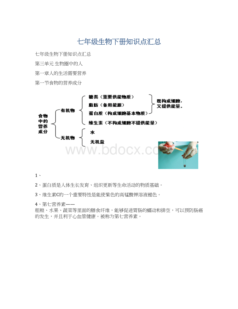 七年级生物下册知识点汇总.docx