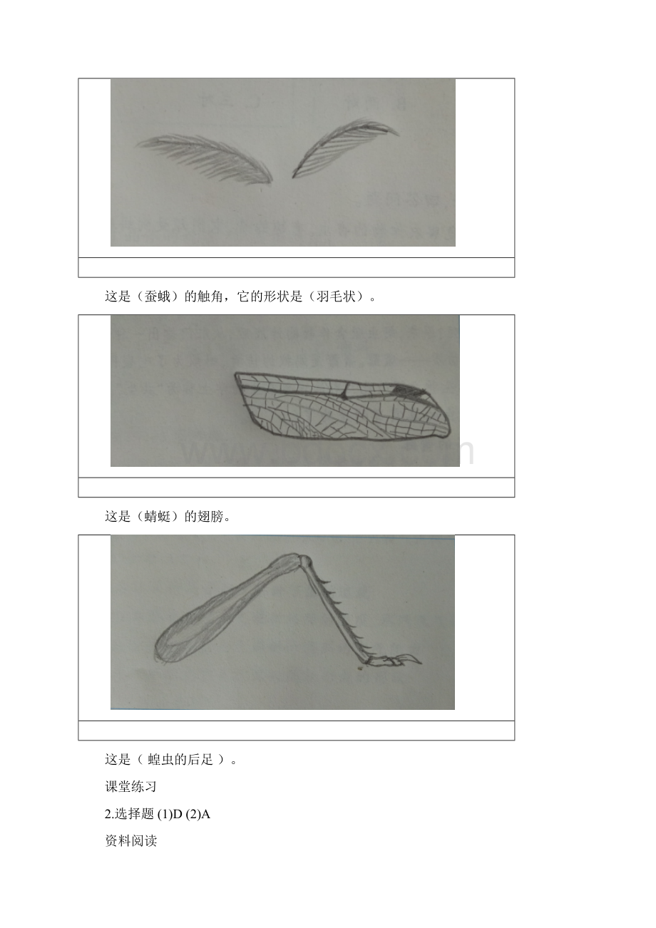 新教科版六年级下册科学作业本参考答案.docx_第3页