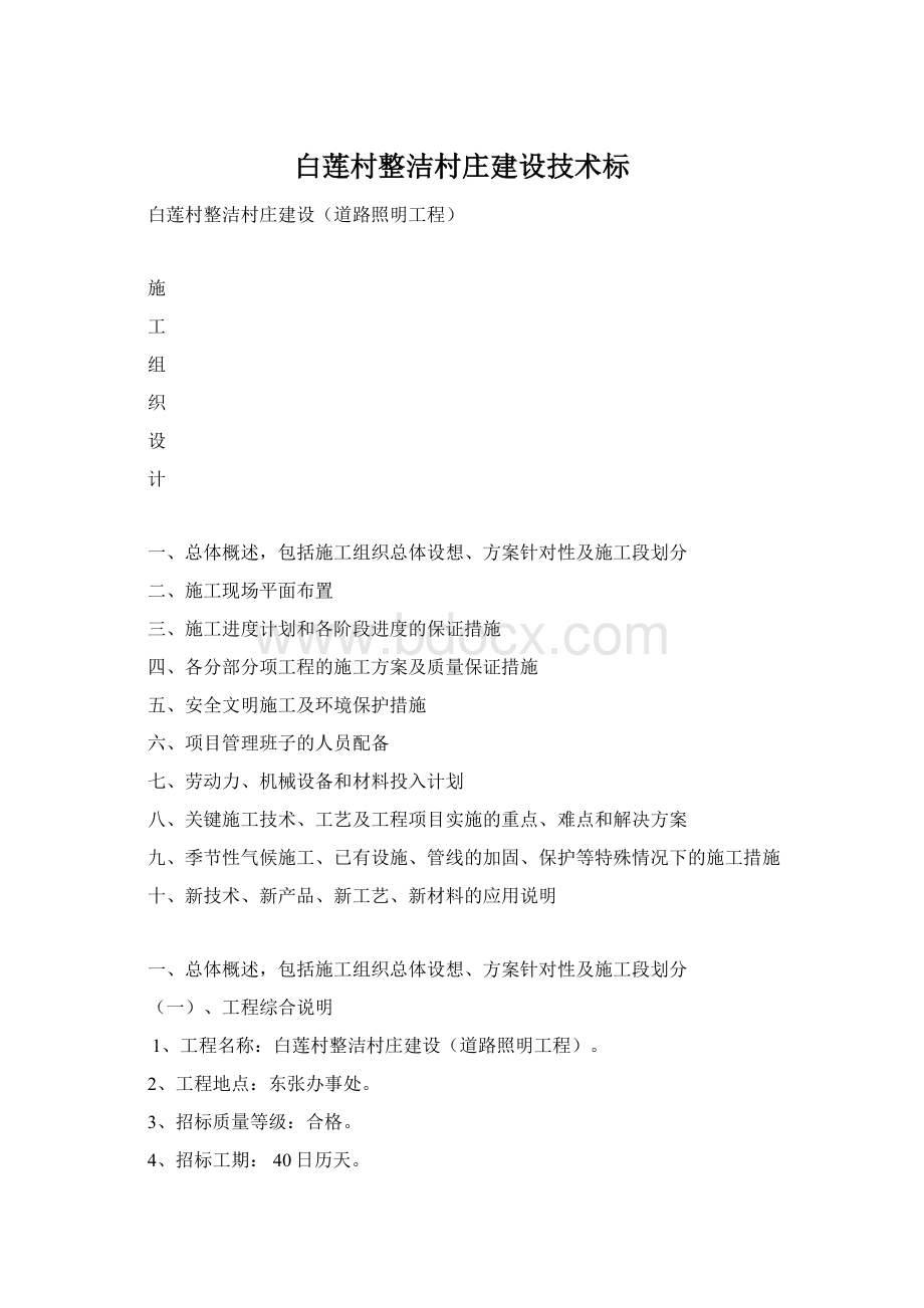 白莲村整洁村庄建设技术标.docx_第1页