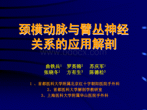 颈横动脉与臂丛神经关系的应用解剖_精品文档.ppt