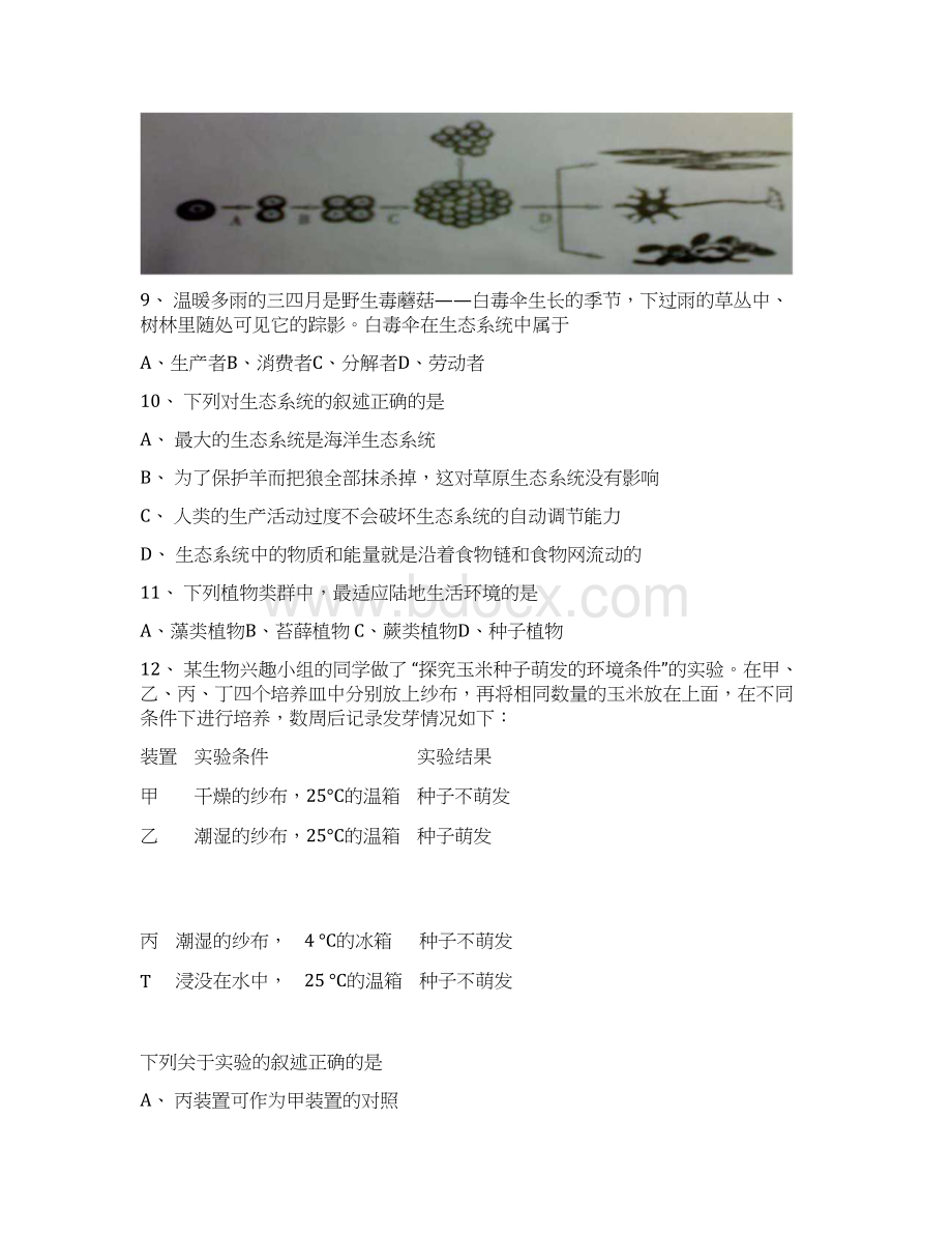 历年生物会考试题docxWord格式文档下载.docx_第3页