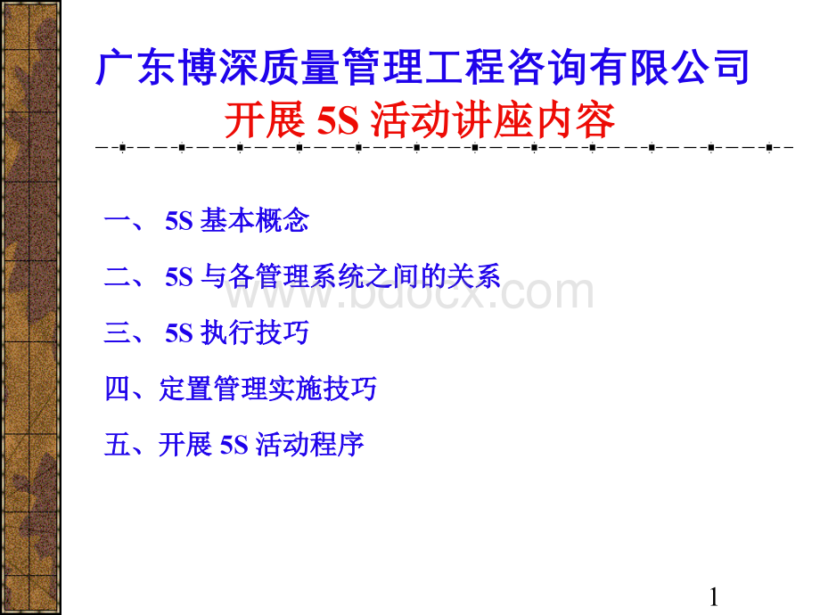 5S活动讲座文档格式.docx_第1页