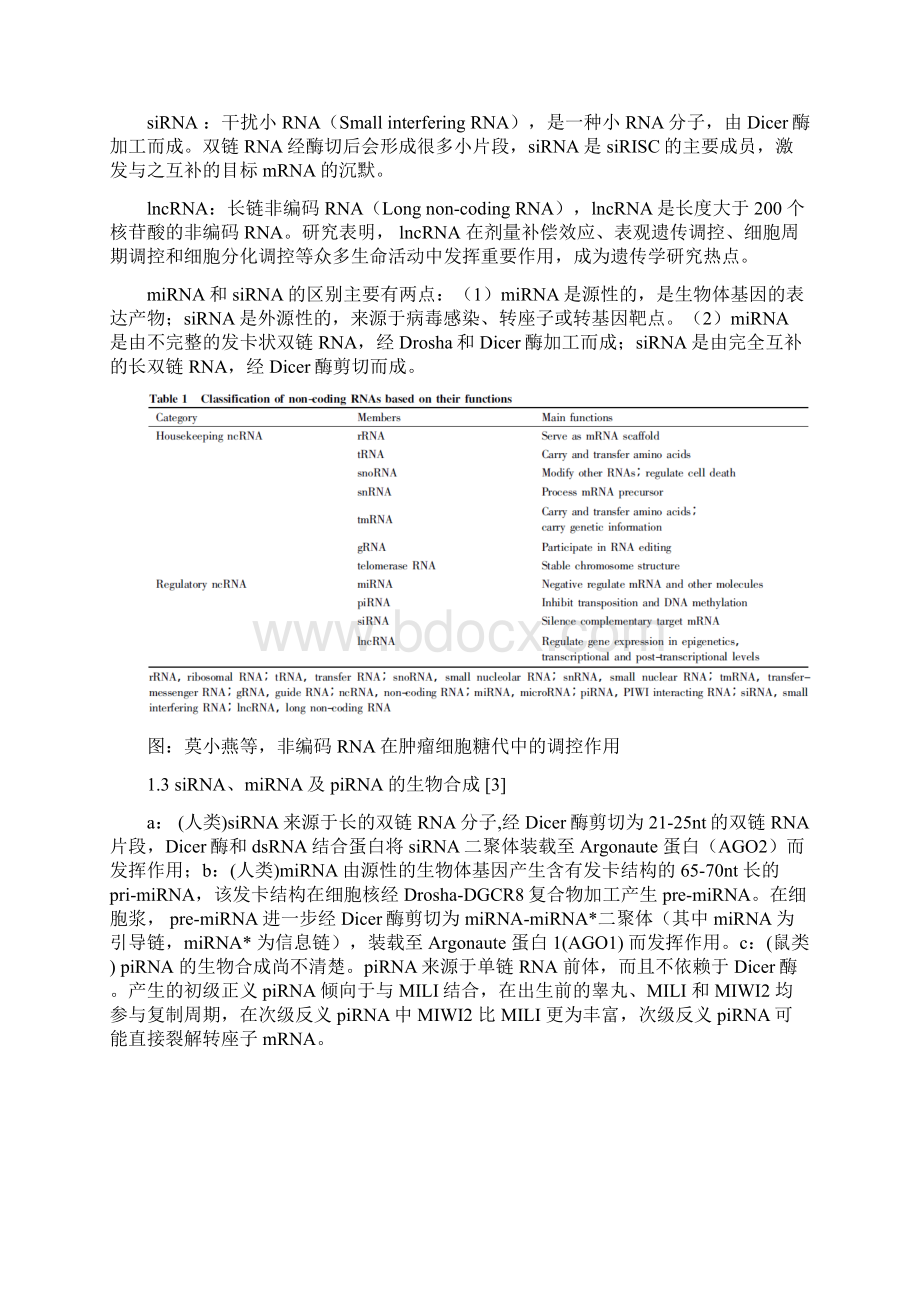 非编码RNA的分类及其功能总结Word文档格式.docx_第2页