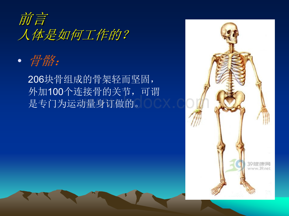 解剖运动肌肉陈一刀版_精品文档.ppt_第2页