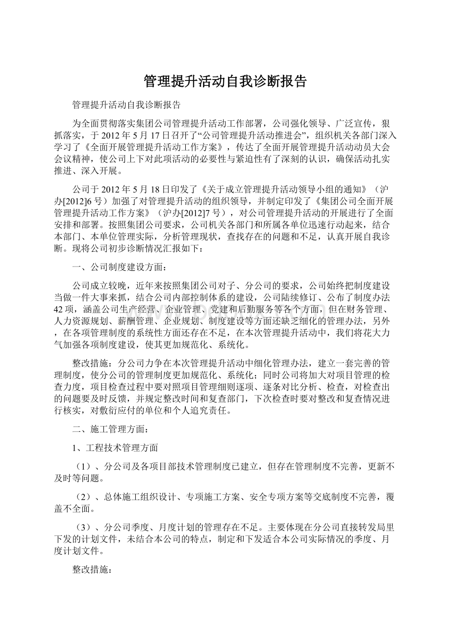 管理提升活动自我诊断报告Word文档格式.docx_第1页