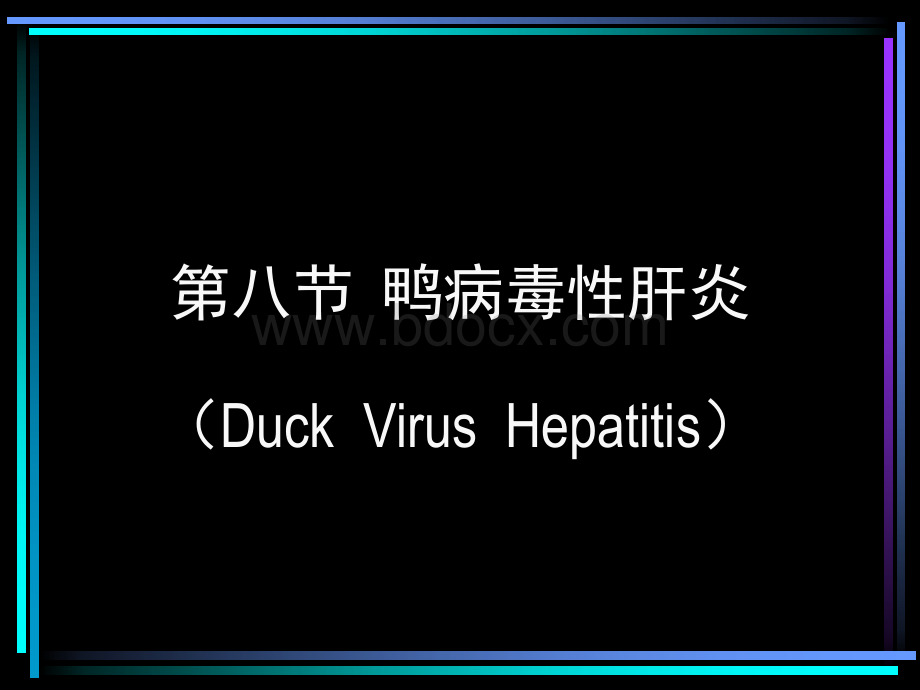 鸭病毒性肝炎PPT格式课件下载.ppt_第1页