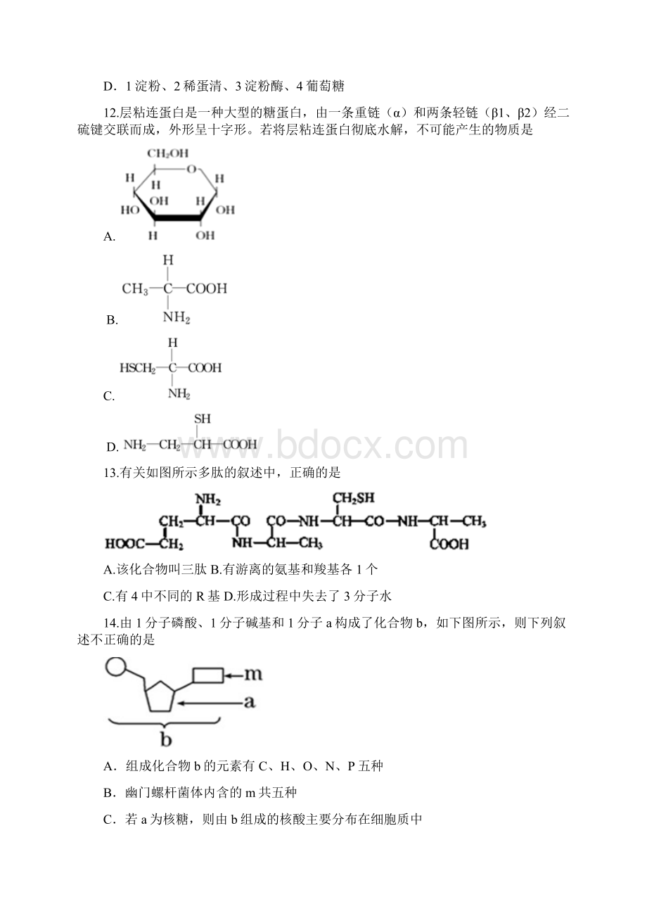 辽宁省鞍山市学年高一生物上册期中考试题Word文档下载推荐.docx_第3页