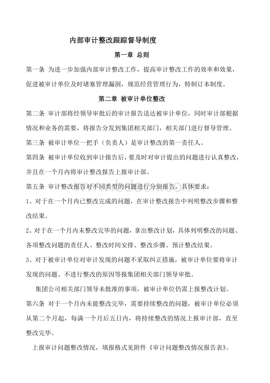 XX集团内部审计整改跟踪督导制度.doc