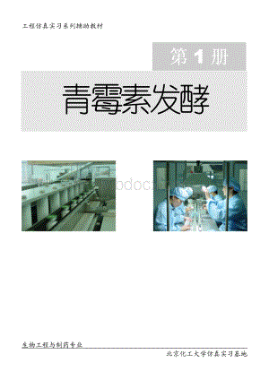 青霉素发酵_精品文档资料下载.pdf