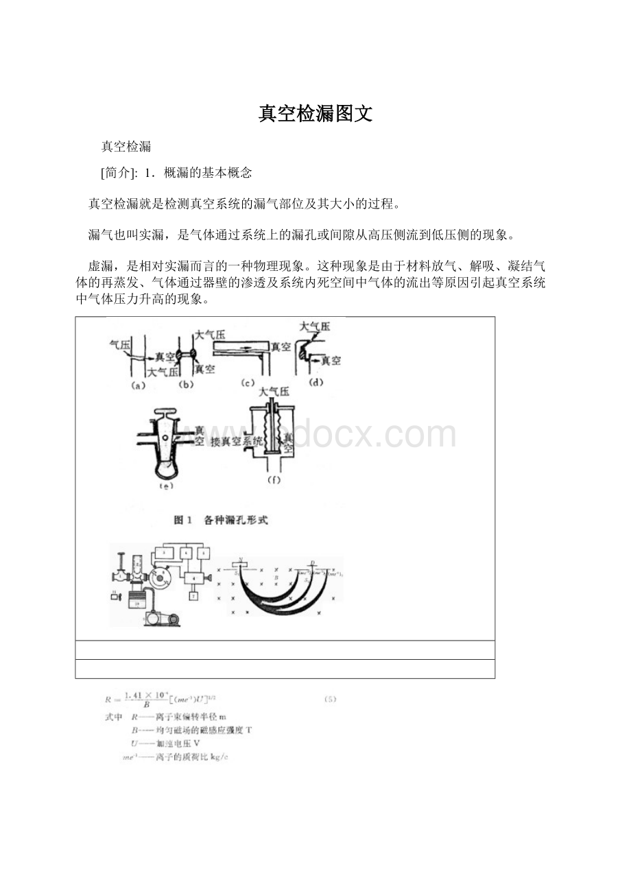 真空检漏图文Word格式.docx_第1页