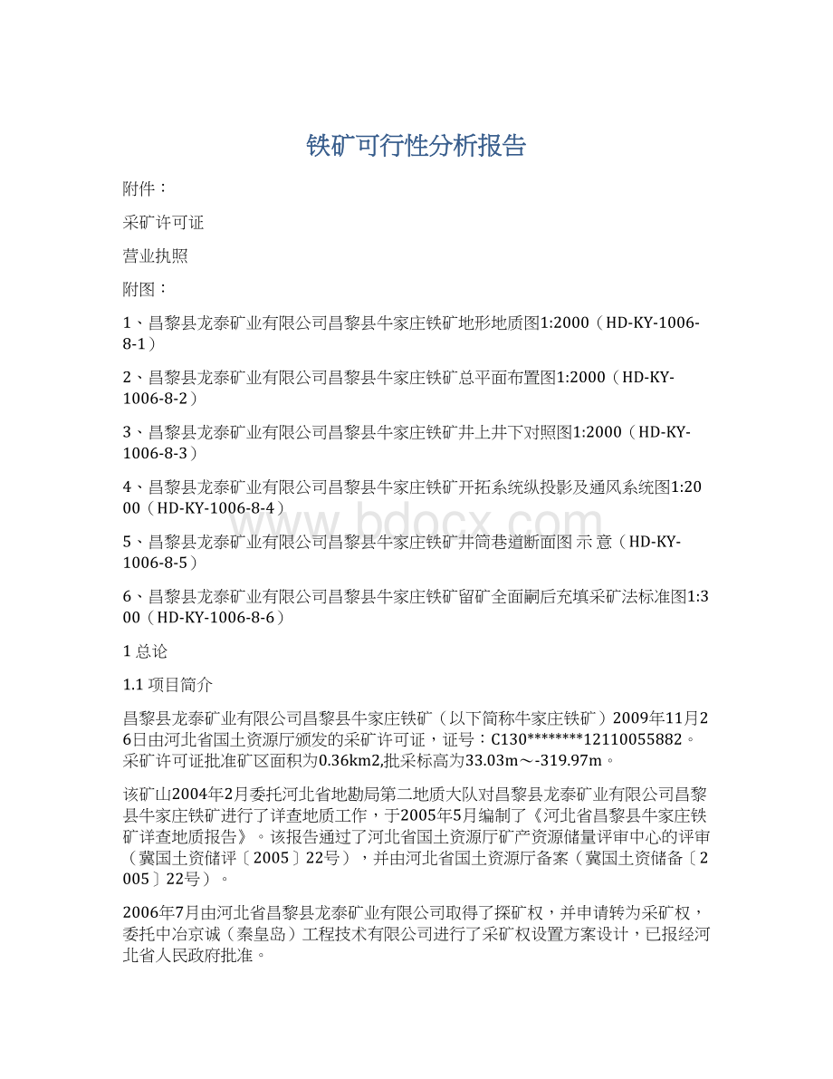 铁矿可行性分析报告文档格式.docx_第1页