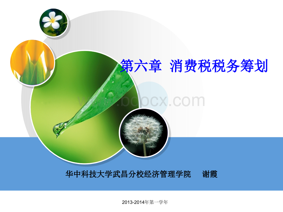 XX消费税税务筹划PPT资料.ppt_第1页