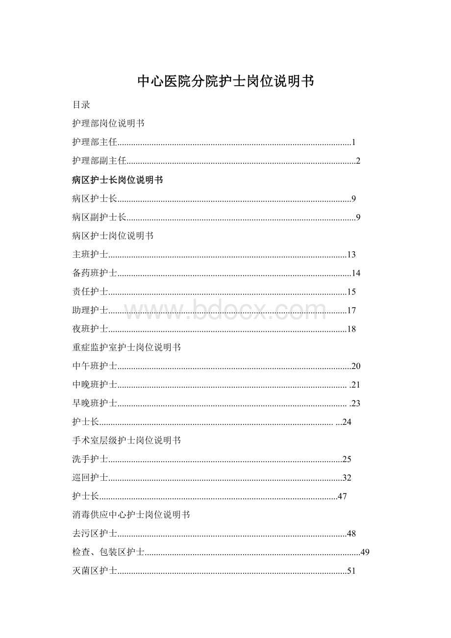 中心医院分院护士岗位说明书Word格式文档下载.docx