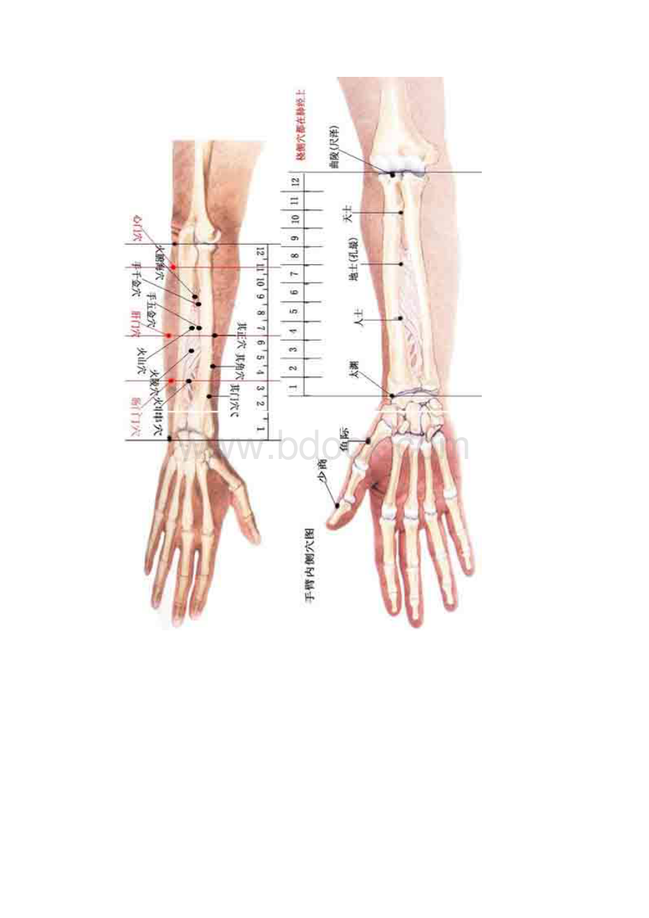 董氏针灸穴位图+董氏针灸七十二绝针 解针.docx_第2页