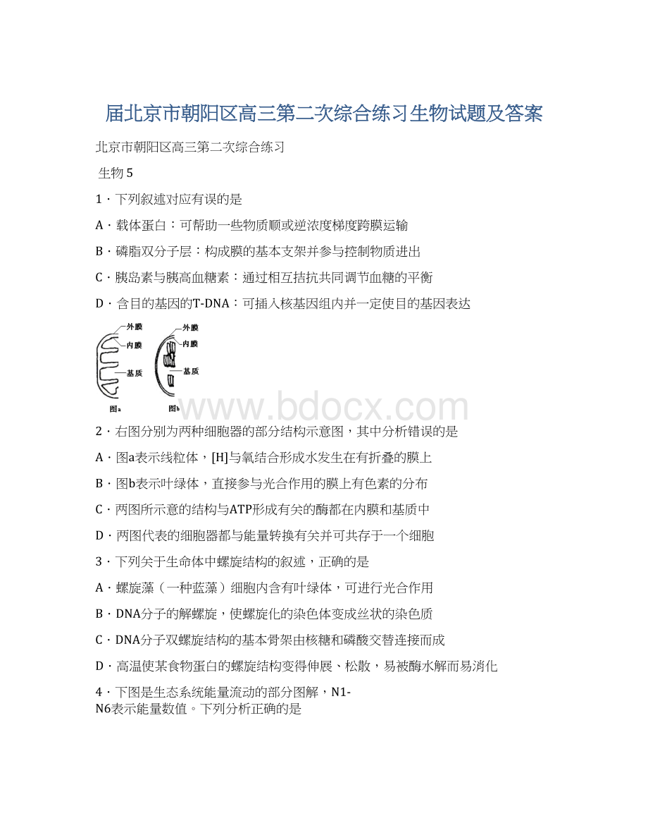 届北京市朝阳区高三第二次综合练习生物试题及答案.docx