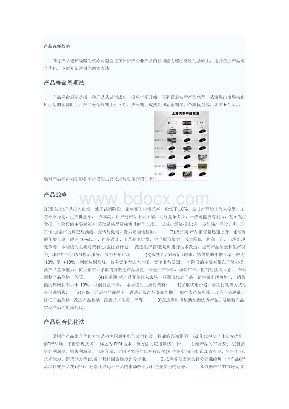 产品战略分类Word文件下载.doc_第2页