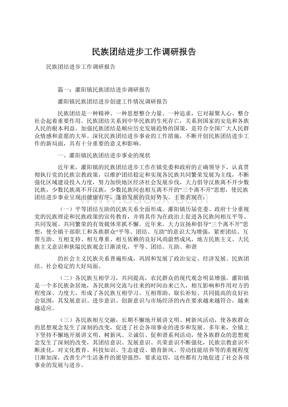 民族团结进步工作调研报告文档格式.docx_第1页