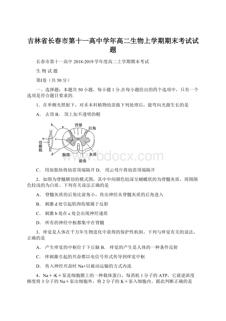 吉林省长春市第十一高中学年高二生物上学期期末考试试题Word格式文档下载.docx