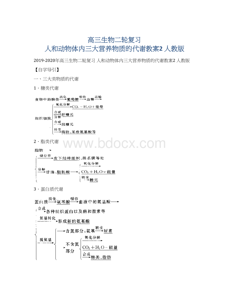 高三生物二轮复习 人和动物体内三大营养物质的代谢教案2 人教版文档格式.docx