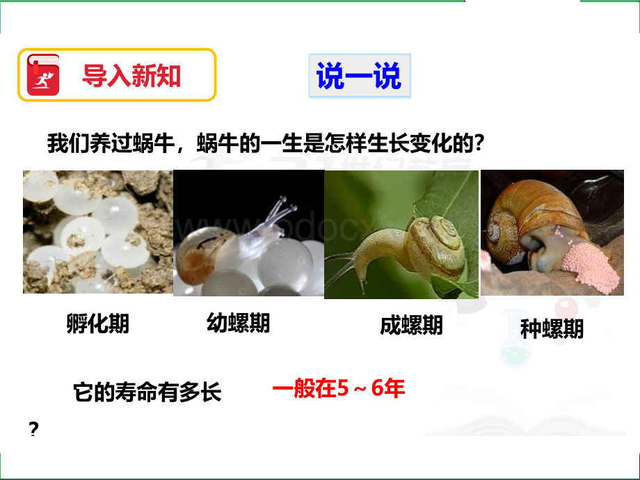 蚕卵里孵出的新生命PPT.pptx_第2页