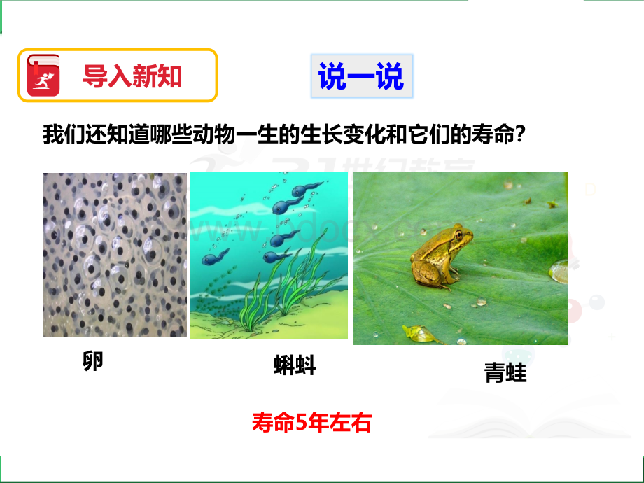 蚕卵里孵出的新生命PPT.pptx_第3页