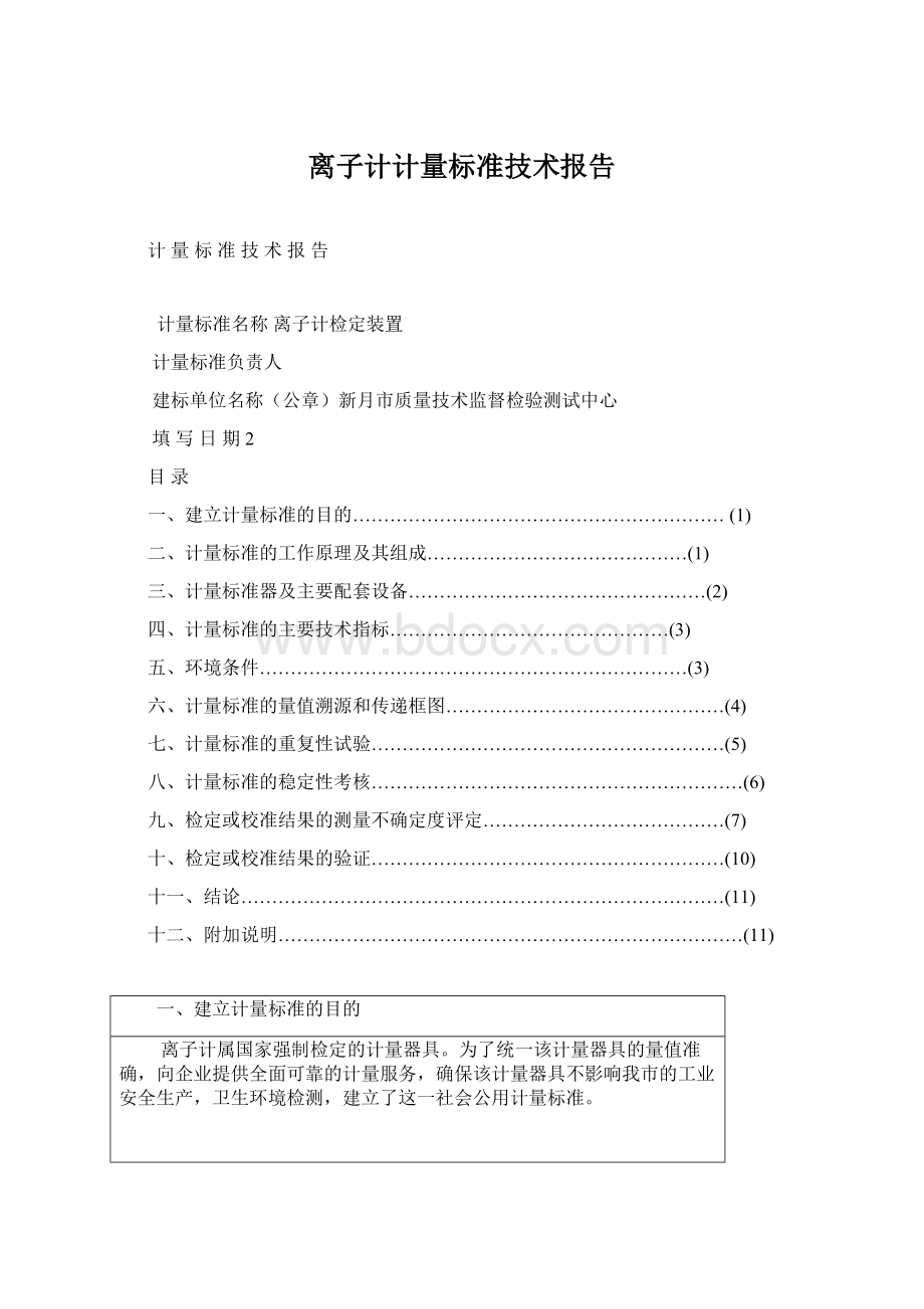 离子计计量标准技术报告文档格式.docx