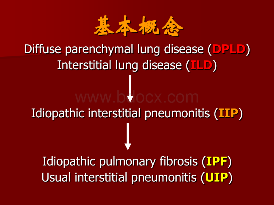 重症间质性肺病诊断与治疗_精品文档PPT推荐.ppt_第2页