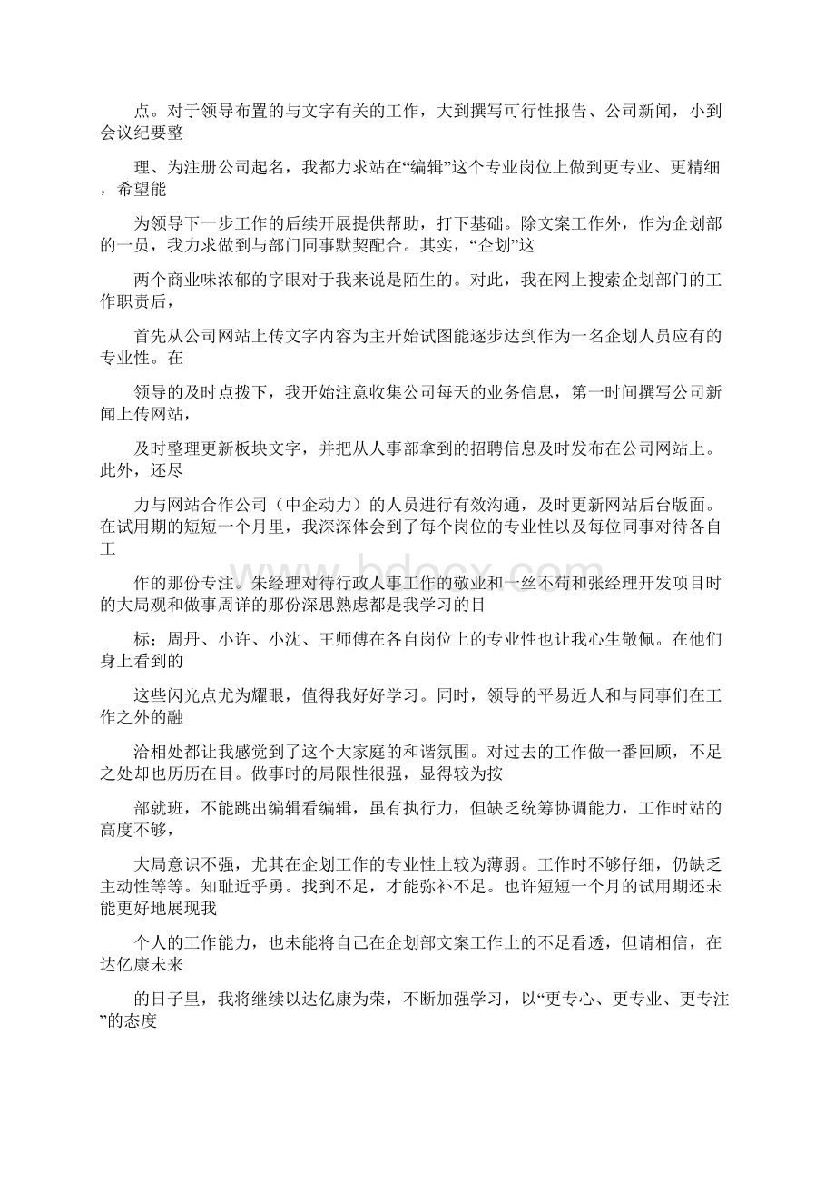 策划文案试用期工作总结Word下载.docx_第2页