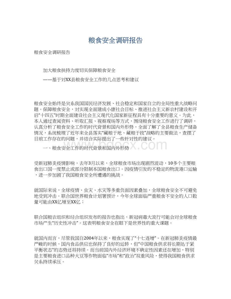 粮食安全调研报告文档格式.docx_第1页