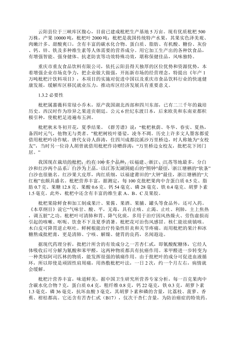 枇杷汁饮料可行性研究报告书Word文档格式.docx_第2页