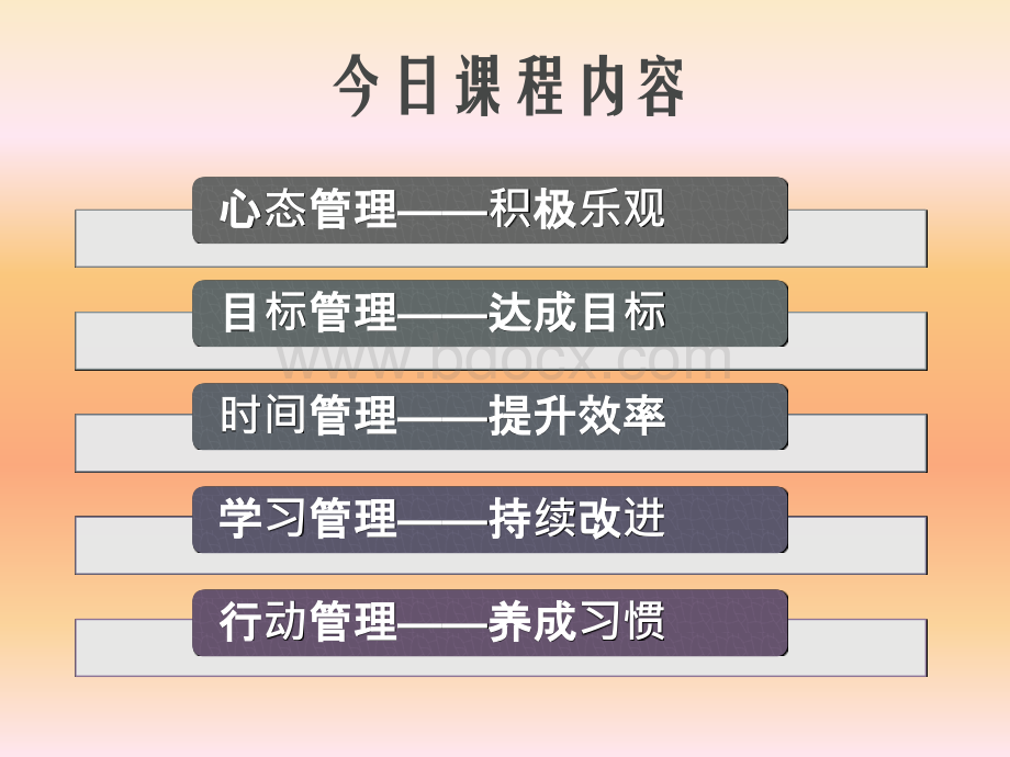 五项管理(千细)pptPPT文档格式.ppt_第2页