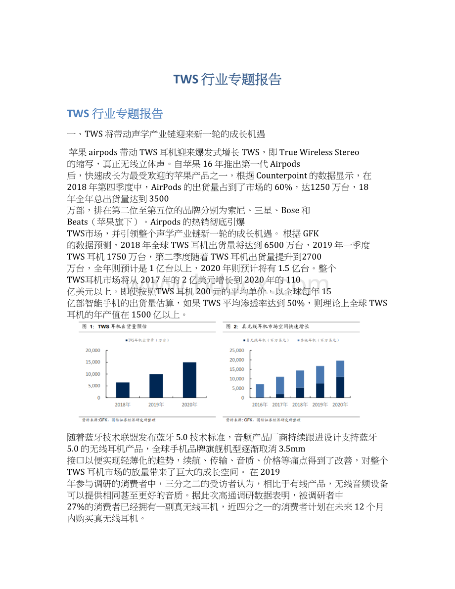 TWS 行业专题报告.docx