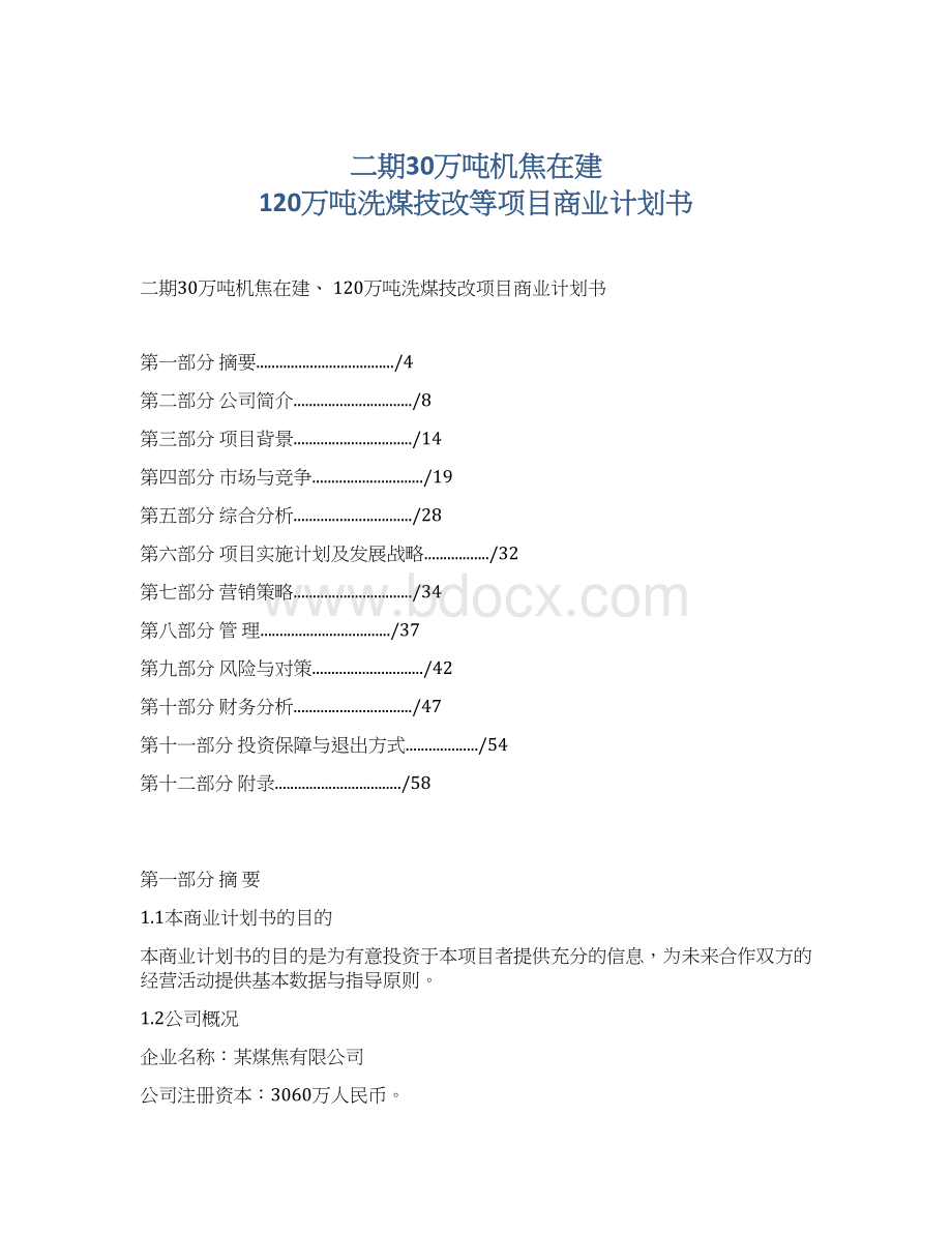 二期30万吨机焦在建 120万吨洗煤技改等项目商业计划书.docx