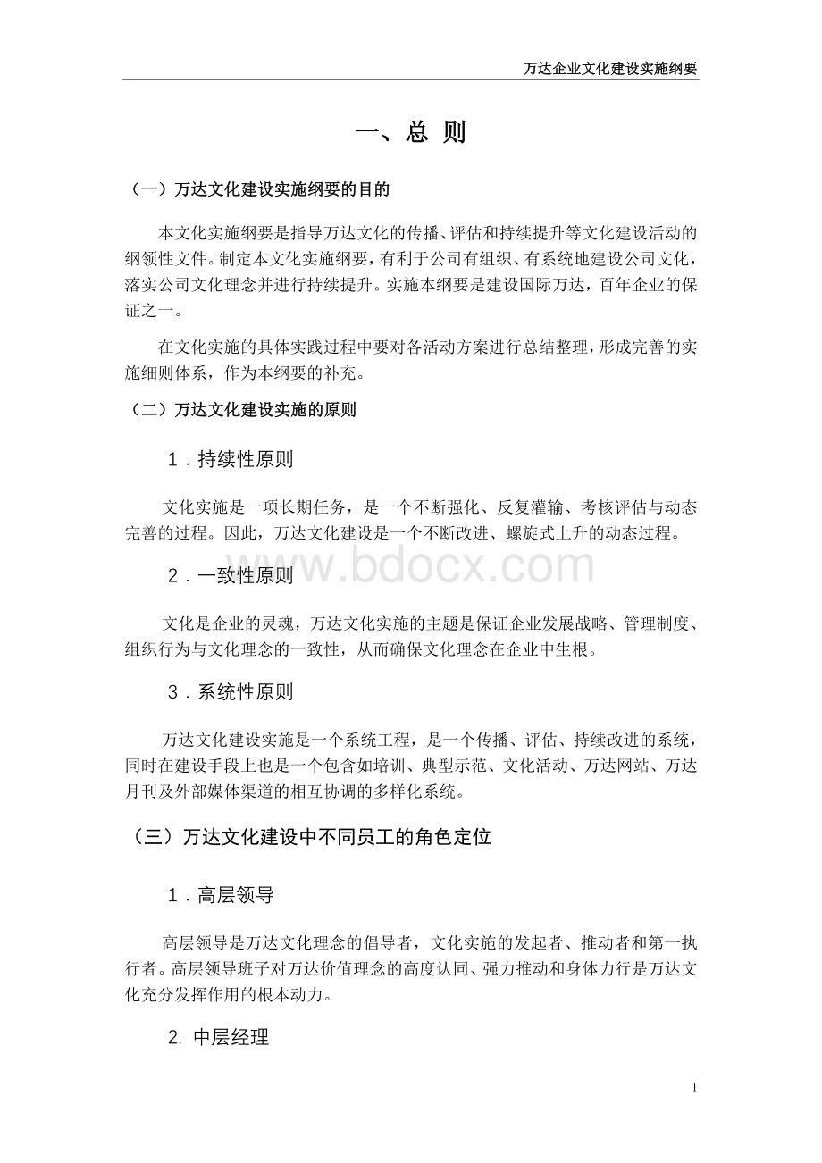 万达文化实施纲要.doc_第3页