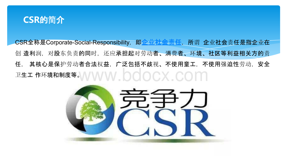 CSR培训教材PPT资料.pptx_第2页