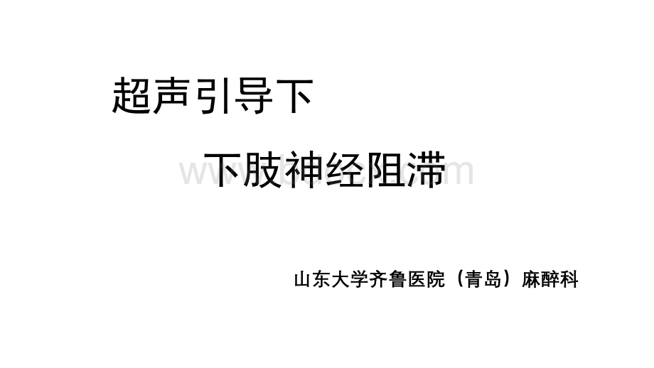 超声引导下的神经阻滞下肢篇_精品文档PPT推荐.pptx