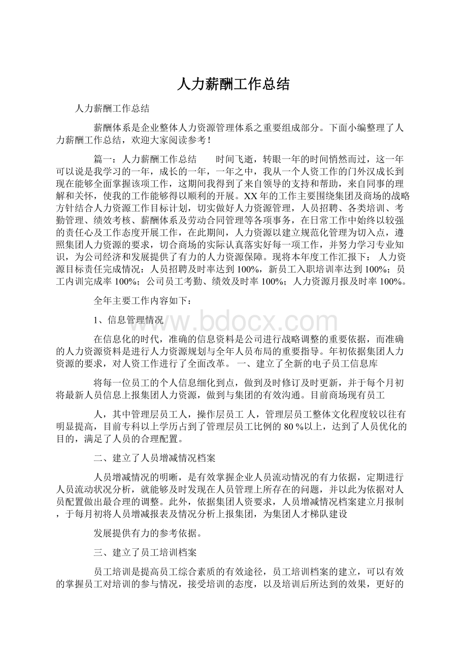 人力薪酬工作总结Word文件下载.docx_第1页