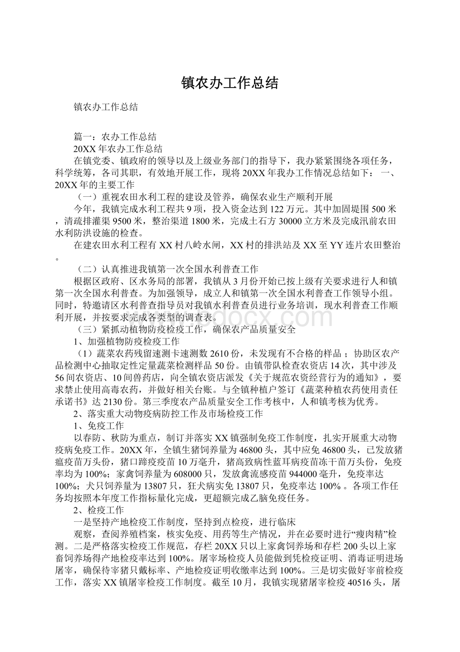 镇农办工作总结Word文档下载推荐.docx