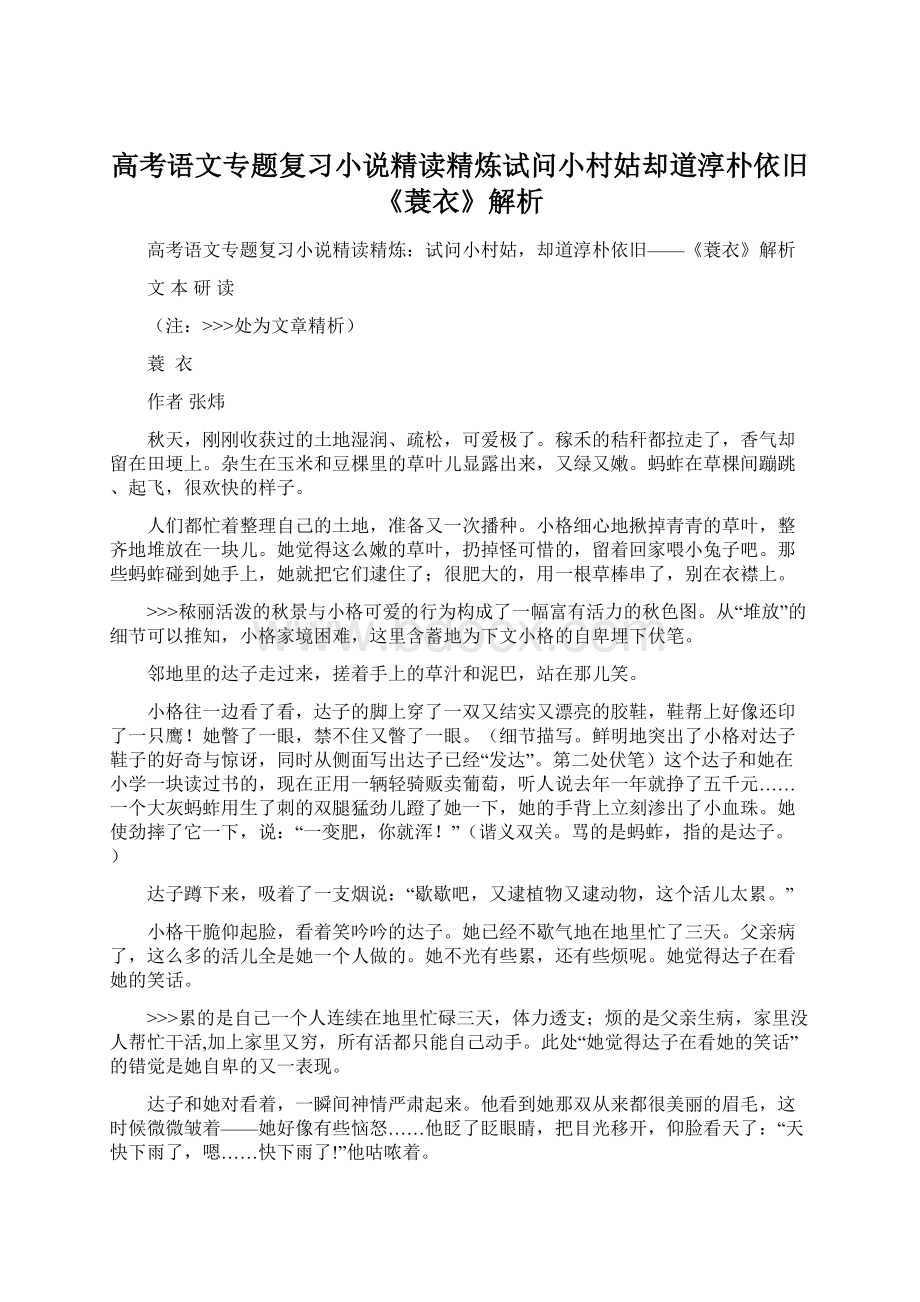 高考语文专题复习小说精读精炼试问小村姑却道淳朴依旧《蓑衣》解析Word文档格式.docx_第1页