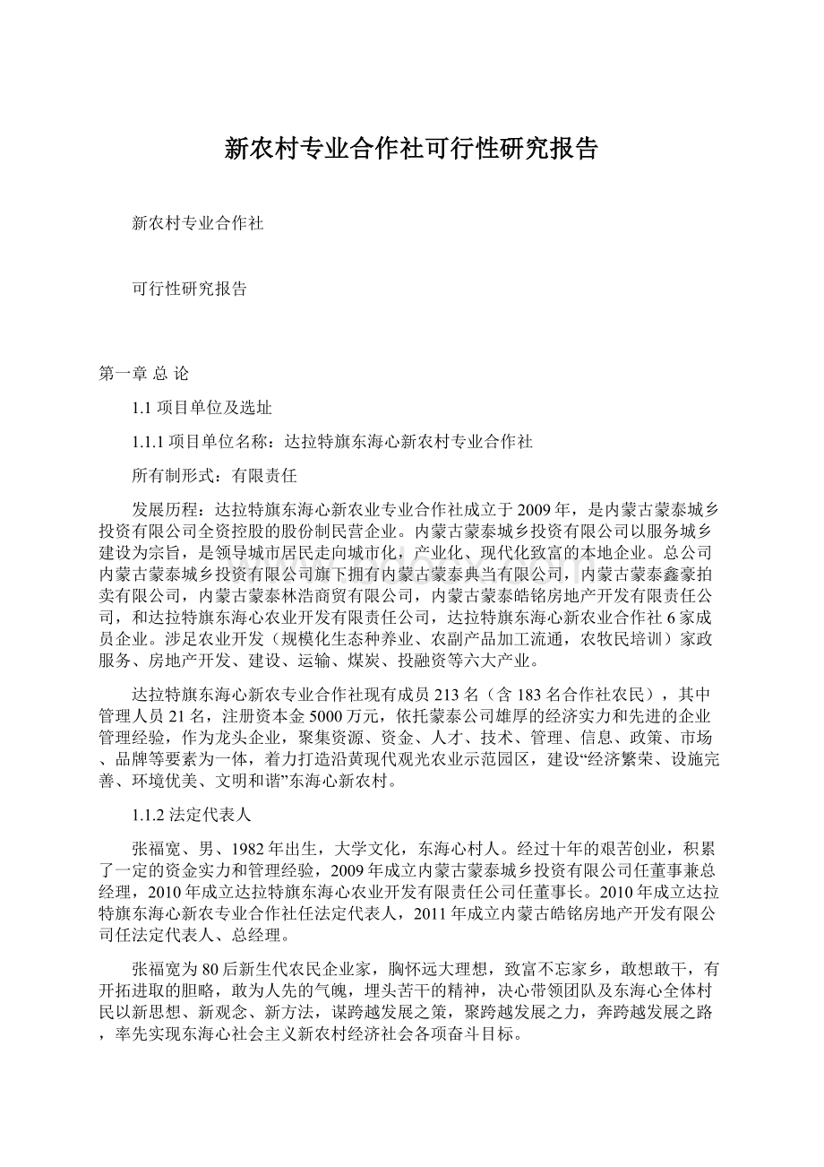 新农村专业合作社可行性研究报告.docx