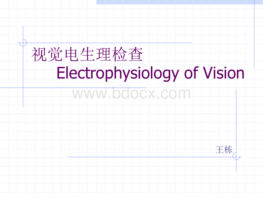 视觉电生理1_精品文档.ppt