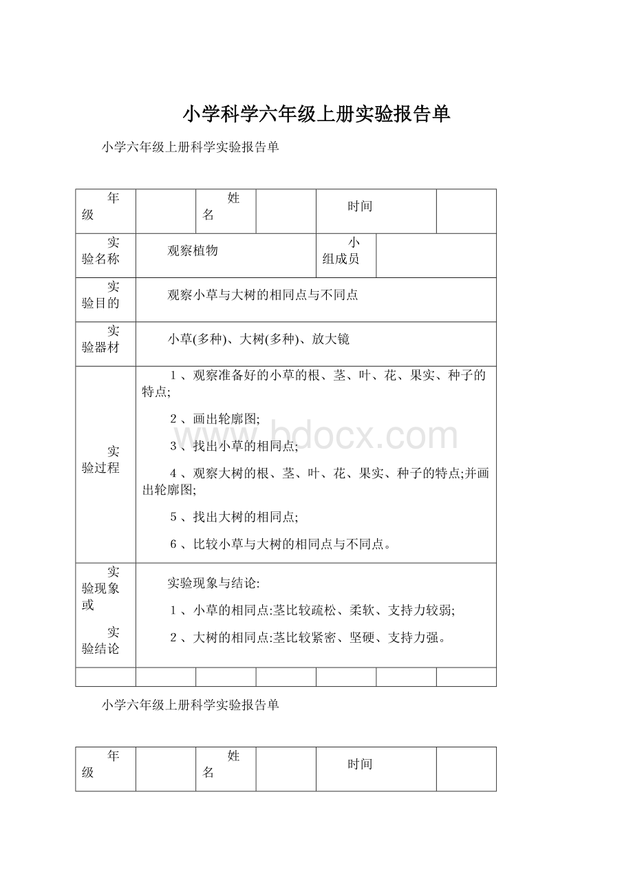 小学科学六年级上册实验报告单.docx