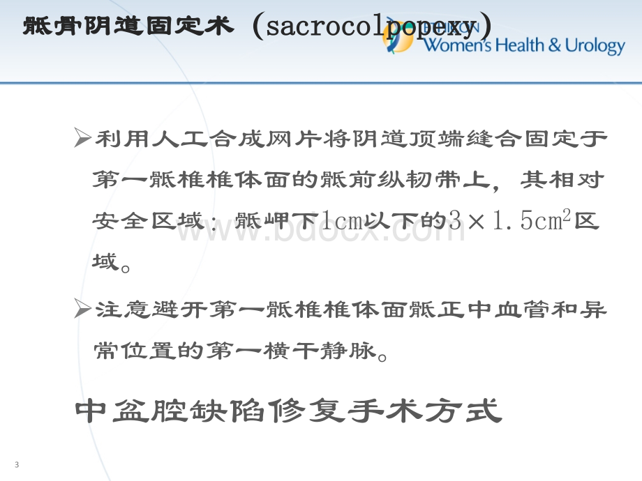 骶骨固定术_精品文档PPT文档格式.pptx_第3页