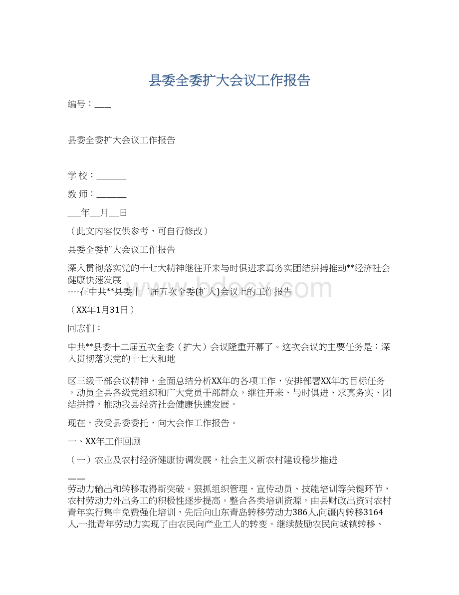 县委全委扩大会议工作报告.docx