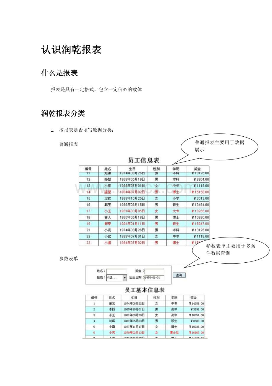 润乾报表开发文档格式.doc