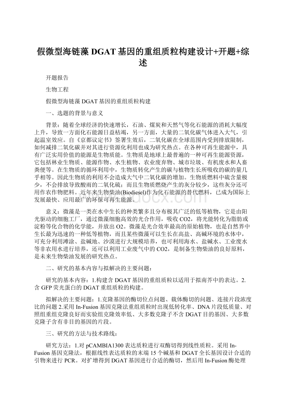 假微型海链藻DGAT基因的重组质粒构建设计+开题+综述.docx