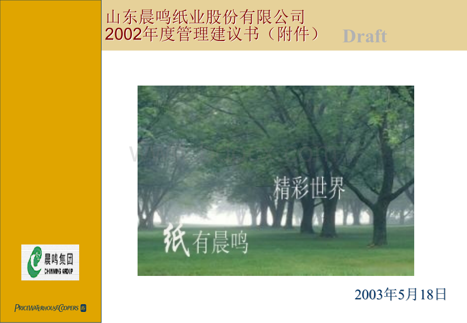 226普华永道-山东晨鸣纸业股份有限公司2002年度管理建议书.ppt