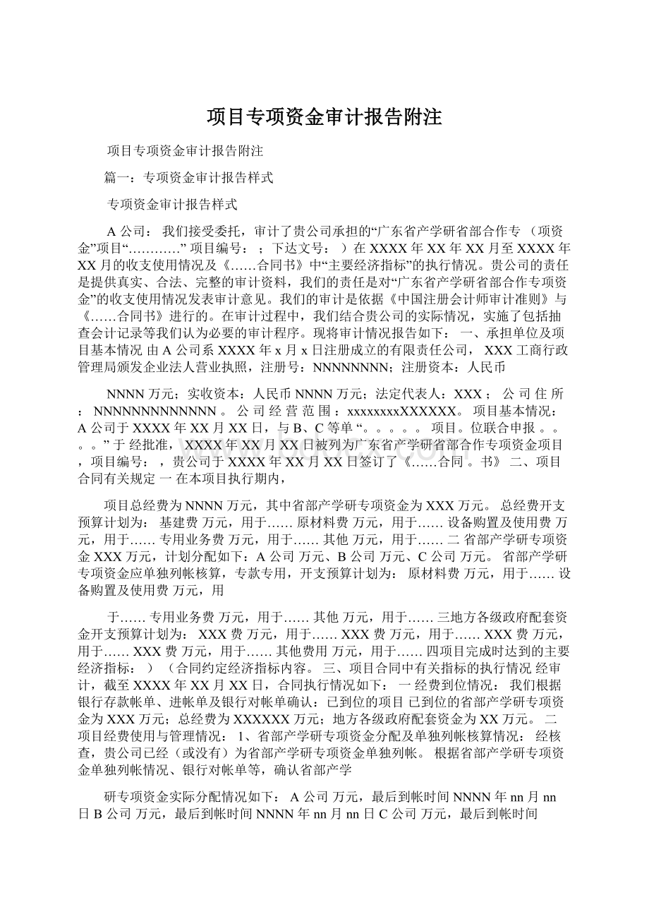 项目专项资金审计报告附注文档格式.docx