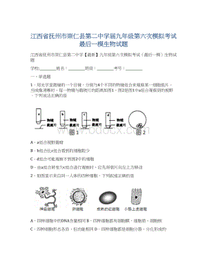 江西省抚州市崇仁县第二中学届九年级第六次模拟考试最后一模生物试题Word下载.docx